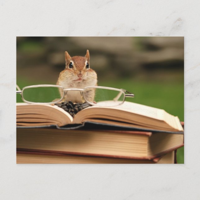 Book loving chipmunk postcard (Front)