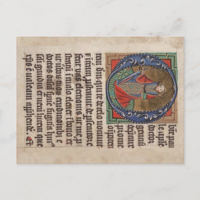 Book of Hours Mediaeval Illuminated Manuscript Postcard (Front)