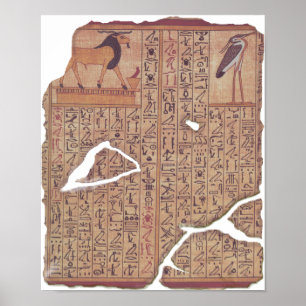 Book of the Dead - Ani Poster