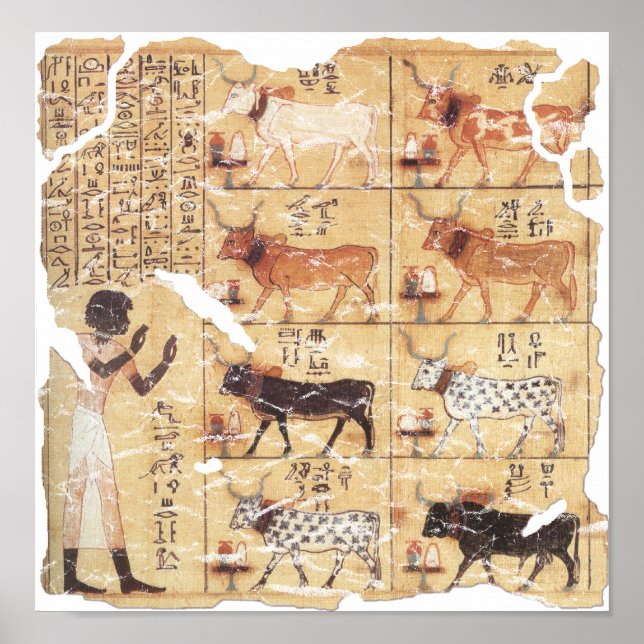 Book of the Dead-Maiherperi-1479bc Poster (Front)