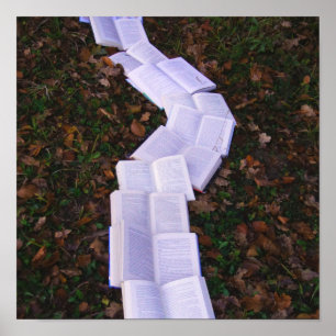 Book Path Reading Reader Poster