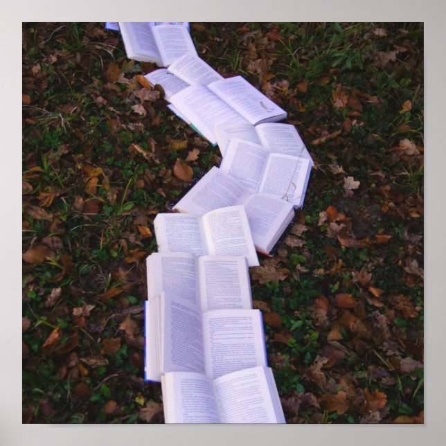 Book Path Reading Reader Poster (Front)
