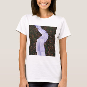 Book Path Reading Reader T-Shirt