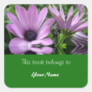 book plate, purple daisy flowers square sticker