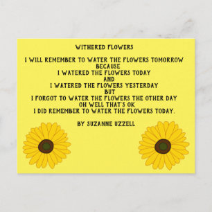 Book Promotion Collection Postcard