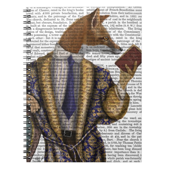 Book Reader Fox (Front)