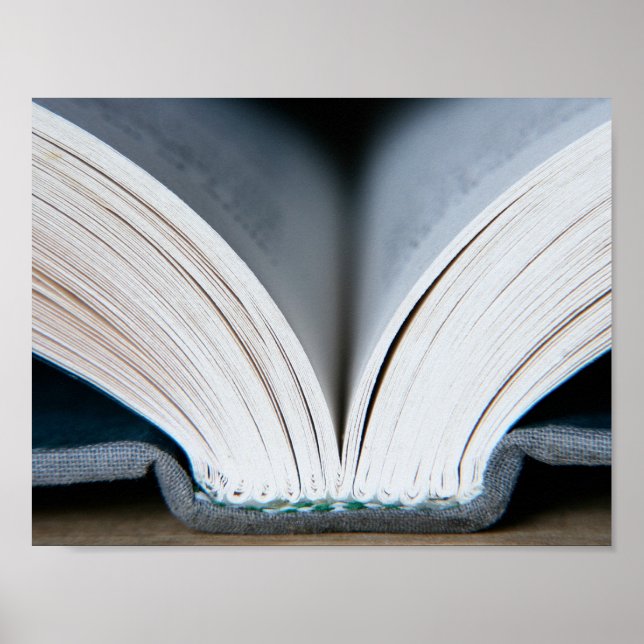 Book Spine (poster) Poster (Front)