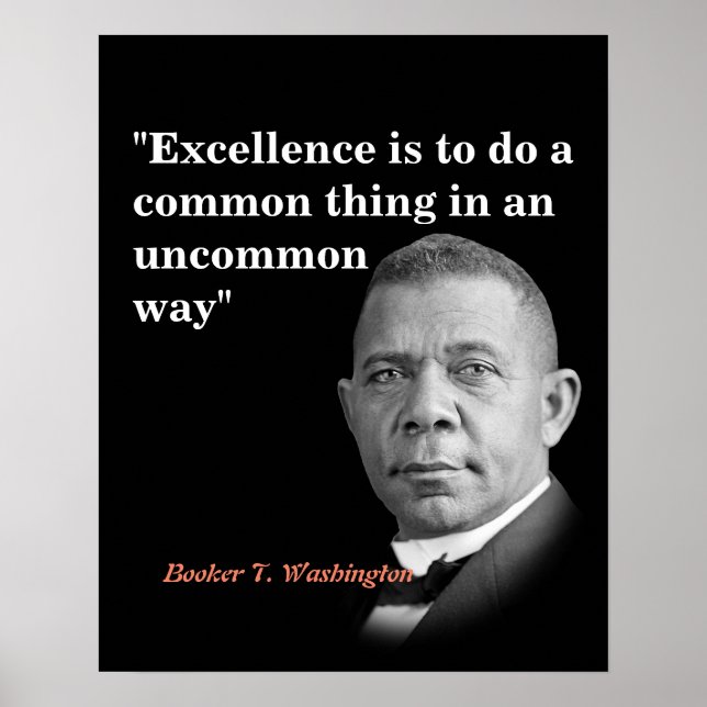 Booker T. Washington Quote On Excellence Poster (Front)