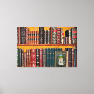 books library bookshelf bookshop canvas print