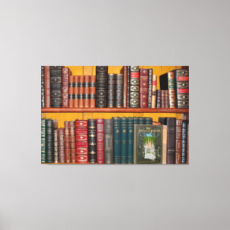 books library bookshelf bookshop canvas print