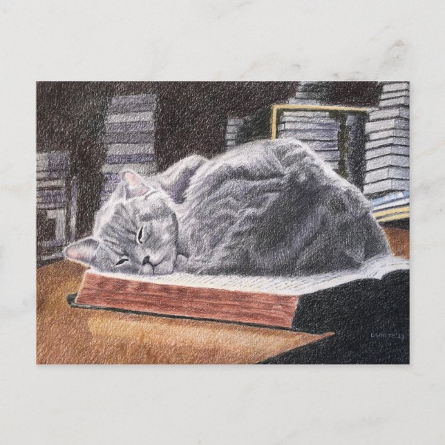 Bookstore Cat Postcard (Front)