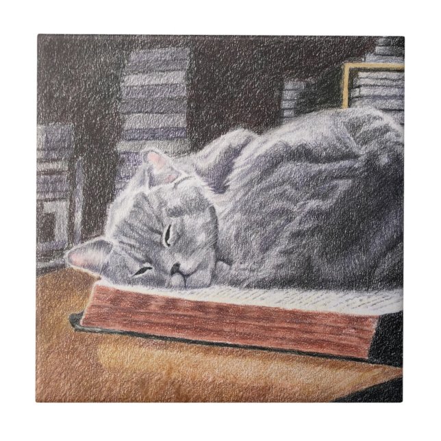 Bookstore Cat Tile (Front)