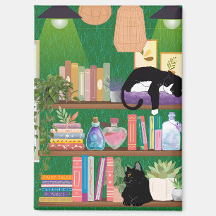 Bookstore cats magnet
