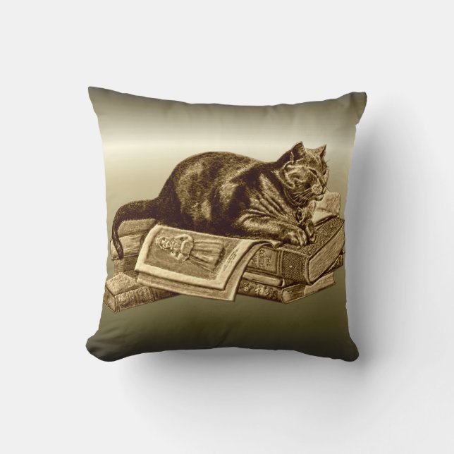 Bookworm Kitty Cat Reading Books Cushion (Front)