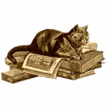 Bookworm Kitty Cat Reading Books Standing Photo Sculpture<br><div class="desc">Bookworm Kitty Cat resting on his library reading books printed on gift products.</div>