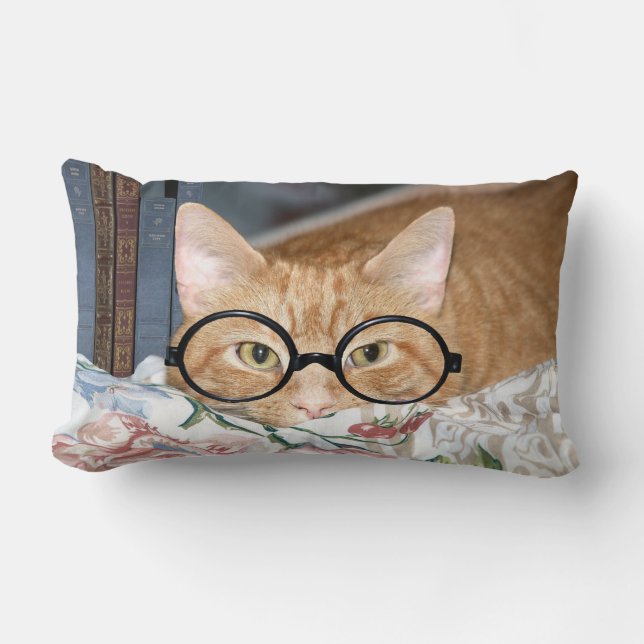 Bookworm tabby lumbar cushion (Front)