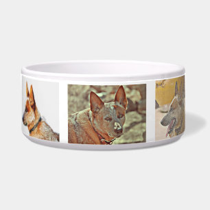 "Boomer" Red Heeler Large Dog Bowl