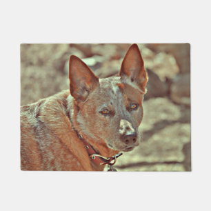 Boomer Red Heller Mat