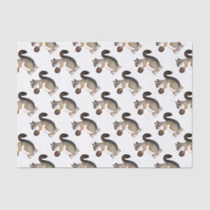 Boomer Squirrel Tissue Paper