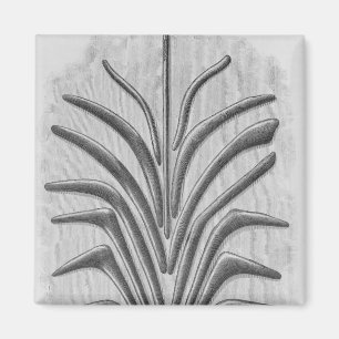 Boomerang and boomerang shaped clubs magnet