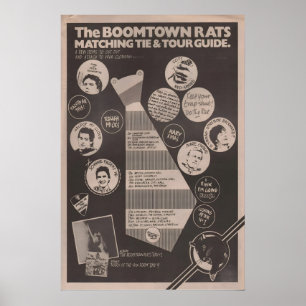 BOOMTOWN RATS - 1977 original NME Poster - Mary of