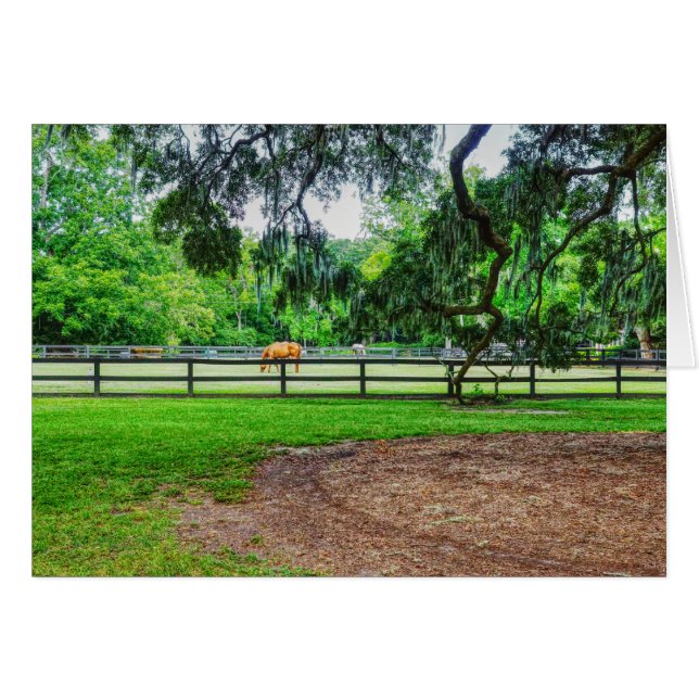 Boone Hall Stables Greeting Card (Front Horizontal)