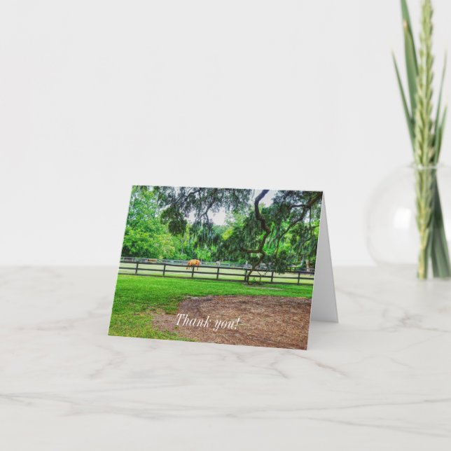 Boone Hall Stables Thank You Card (Front)