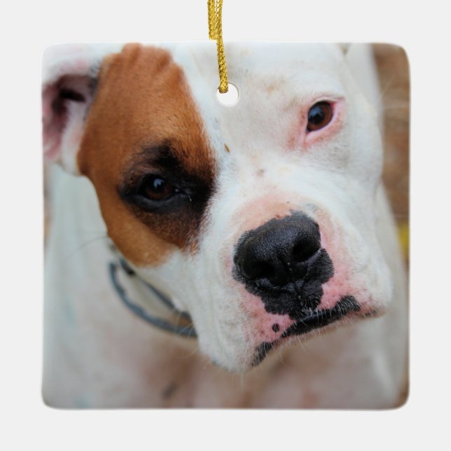 Boop Ceramic Ornament (Front)