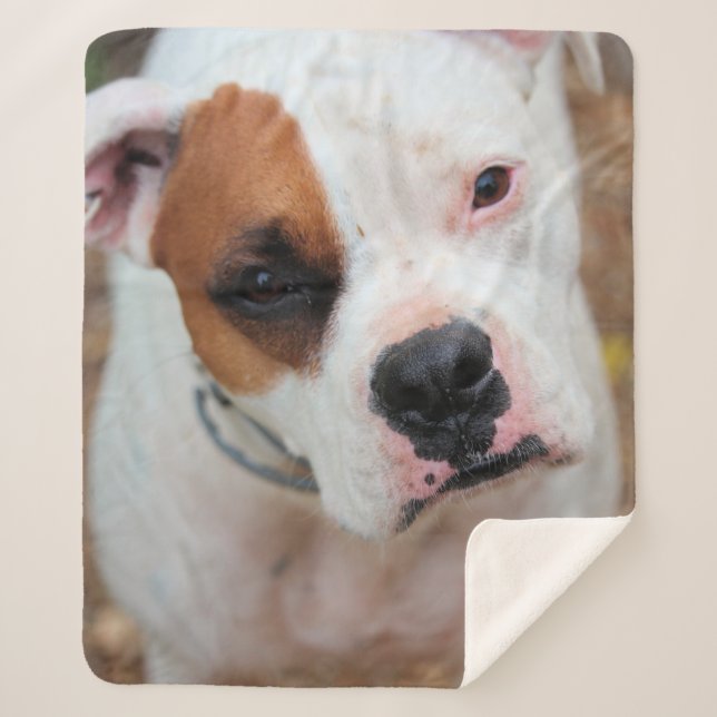 Boop Sherpa Blanket (Front)