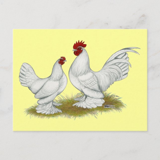 Booted Bantams Postcard (Front)
