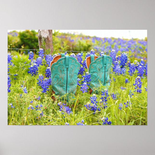 Boots and Bluebonnets Poster (Front)