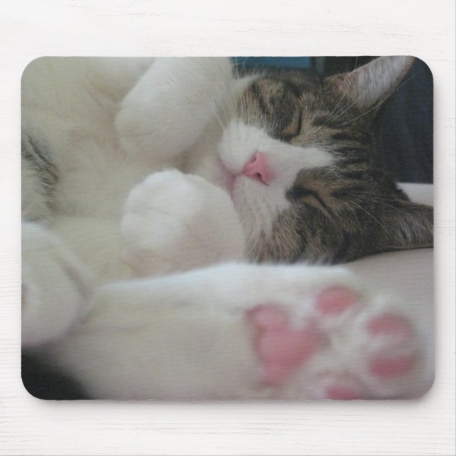 Bootsie cat mouse pad (Front)