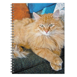 Boppy Spiral Notebook