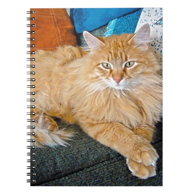 Boppy Spiral Notebook (Front)
