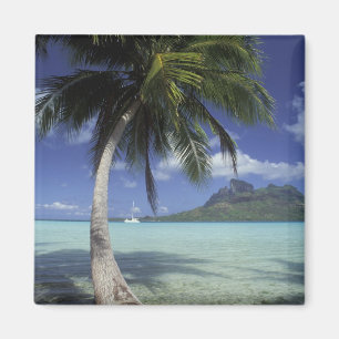 Bora Bora, French Polynesia Mt. Otemanu seen Magnet