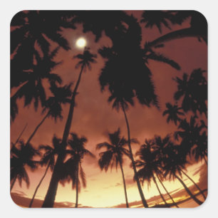 Bora Bora, French Polynesia Sunset shot through Square Sticker