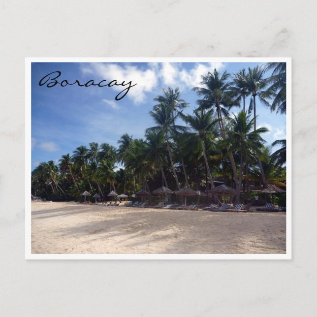boracay beach palms postcard (Front)
