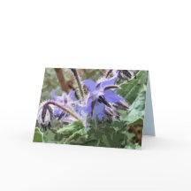 Borage star flower woodblock effect blank card