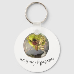 borb planetarium key ring