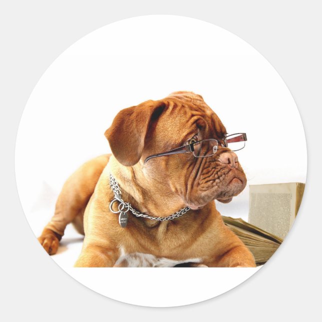 Bordeaux Mastiff, French Mastiff Bordeauxdog Gift Classic Round Sticker (Front)