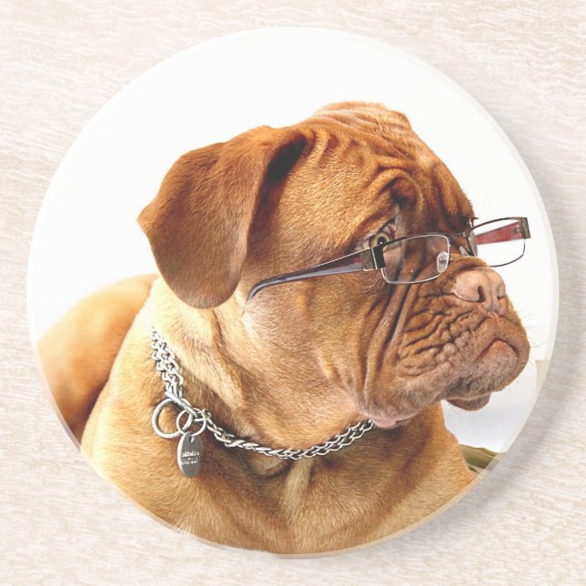 Bordeauxdog Coaster (Front)