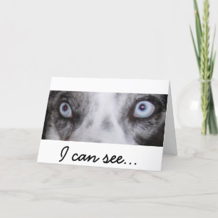 Border-Aussie Birthday Card