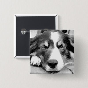BORDER COLLIE 15 CM SQUARE BADGE