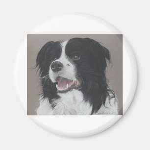 Border Collie 3 Magnet