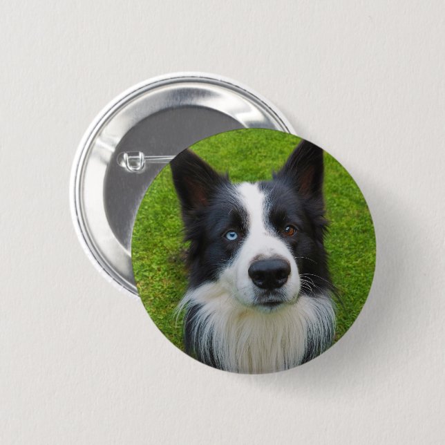 Border Collie 6 Cm Round Badge (Front & Back)
