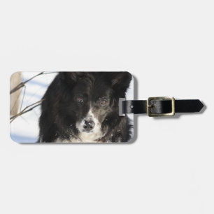 border-collie-8.jpg luggage tag