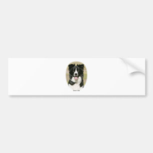Border Collie 9Y411D-009 Bumper Sticker