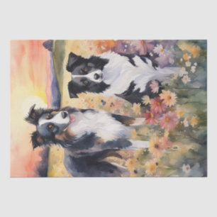 Border Collie and Australian Shepard decoupage Tissue Paper