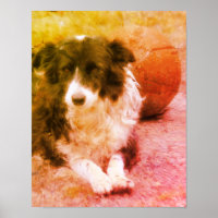 Border Collie And Ball Dog Art