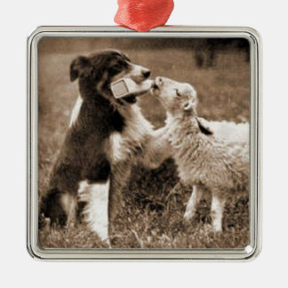 "Border Collie and Lamb"~Border Collie Ornament